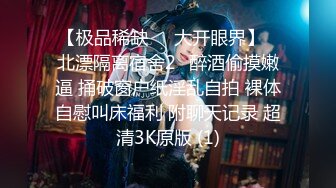 【国产版】[ID-5229]刘小珊 顶级时间管理-老婆闺蜜极限偷情 爱豆传媒