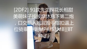 ★☆稀缺资源☆★2024重磅顶推，对话淫荡，秀人网极品女神【艾小青】千元8部福利，艳舞自慰内窥镜看白带阴道壁子宫口被土豪灌肠啪啪 (1)