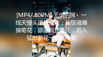 [MP4]MM088 麻豆传媒 无套系列 下流母狗羞耻露出 吴梦梦 VIP0600