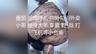 小时狐之使坏的朋友