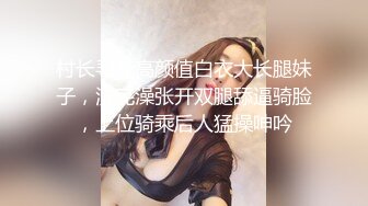 后入高跟吊带袜少妇