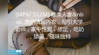 [MP4/ 512M] 唯美人妻&nbsp; 透明情趣内衣，勾引大学老师，家中性爱，舔足，吃奶，舔逼，骚味独特