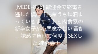 [MIDE-856] 歓迎会で終電を逃した僕に「先輩うちに泊まっていきます？」と肉食系の新卒女子が小悪魔な甘い囁き。誘惑に負けて何度もSEXした 神宮寺ナオ