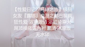 女仆情趣2