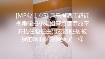 麻豆传媒-我的骚浪金发女友