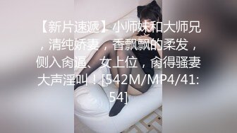 漂亮少妇 上位很会骑马技术不错 下马被大肉棒无套猛怼 骚叫不停 大奶子哗哗