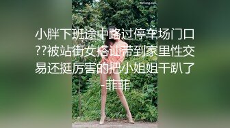 小胖下班途中路过停车场门口??被站街女搭讪带到家里性交易还挺厉害的把小姐姐干趴了-菲菲