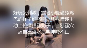 美好國家的建築方法 1