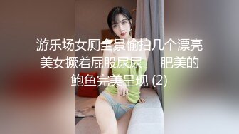 游乐场女厕全景偷拍几个漂亮美女撅着屁股尿尿❤️肥美的鲍鱼完美呈现 (2)