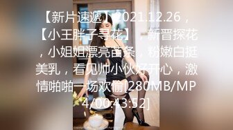 【新片速遞】2021.12.26，【小王胖子寻花】，新晋探花，小姐姐漂亮苗条，粉嫩白挺美乳，看见帅小伙好开心，激情啪啪一场欢愉[280MB/MP4/00:43:52]