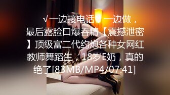 毒药杭州17公分雁型JJ第二季第二部