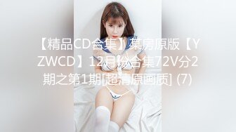 【精品CD合集】某房原版【YZWCD】12月份合集72V分2期之第1期[超清原画质] (7)