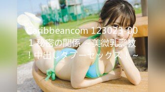 Caribbeancom 123023-001 秘密の関係 ～美微乳調教！中出しタブーセックス！～