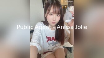 Public Agent - Anissa Jolie