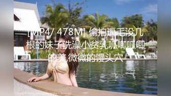 情趣黑丝后入骚逼