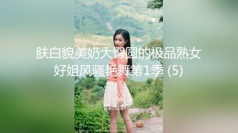 肤白貌美奶大臀圆的极品熟女好姐风骚艳舞第1季 (5)