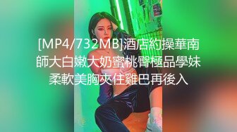 SWAG 片尾的性感旗袍是亮点 截图你最喜欢的一件私讯送你私藏片 莉奈酱