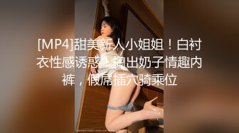 [MP4]甜美新人小姐姐！白衬衣性感诱惑！掏出奶子情趣内裤，假屌插穴骑乘位