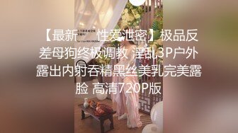 合肥黑丝OL小母狗