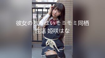 彼女のおっぱいモミモミ同栖性活 姫咲はな