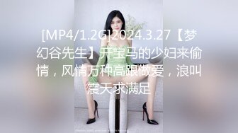 [MP4/1.2G]2024.3.27【梦幻谷先生】开宝马的少妇来偷情，风情万种高跟做爱，浪叫震天求满足