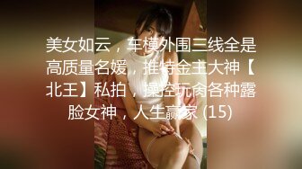 美女如云，车模外围三线全是高质量名媛，推特金主大神【北王】私拍，操控玩肏各种露脸女神，人生赢家 (15)