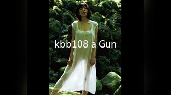 kbb108 a Gun