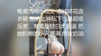 唯美清纯小仙女 清纯碎花连衣裙 傲娇女神私下也是超级反差，魔鬼身材白虎粉逼 把她粉嫩的小穴塞满 纯欲奶油肌肤