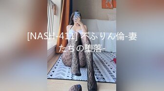 [NASH-411] 不ふりん倫-妻たちの堕落-