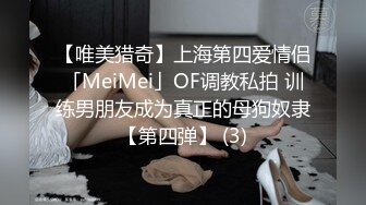 极品爆奶骚浪人妻Seoul最新流出-穿着各式丝袜各种被爆操 淫荡丝袜篇