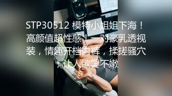 STP30512 模特小姐姐下海！高颜值超性感！一对豪乳透视装，情趣开档内裤，揉搓骚穴，让人欲罢不嫩