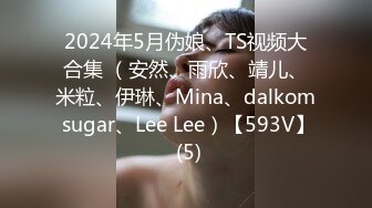 2024年5月伪娘、TS视频大合集 （安然、雨欣、靖儿、米粒、伊琳、Mina、dalkom sugar、Lee Lee）【593V】 (5)