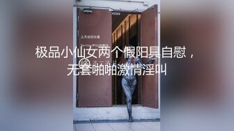 _LO御姐白领性感黑丝高冷蜜桃臀小秘书沦为胯下母狗 掀起LO短裙连干两炮，撕破黑丝衣服不脱提枪就操！