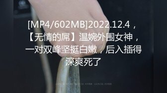 [MP4/602MB]2022.12.4，【无情的屌】温婉外围女神，一对双峰坚挺白嫩，后入插得深爽死了