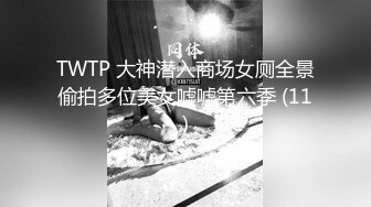 TWTP 大神潜入商场女厕全景偷拍多位美女嘘嘘第六季 (11)