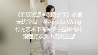 《绝版资源★收藏分享》衣食无忧华裔千金Amelia Wang行为艺术下海★被生猛爆肏蹂躏强颜欢笑！仅此三部