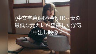 (中文字幕)同窓会NTR～妻の最低な元カレが盗撮した浮気中出し映像～