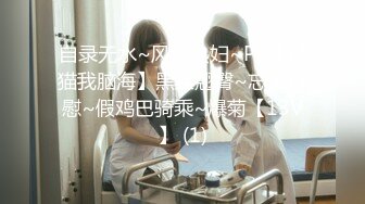 国产麻豆AV 番外 麻豆导演系列 女室友的性癖好