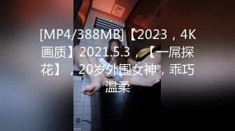 [MP4/388MB]【2023，4K画质】2021.5.3，【一屌探花】，20岁外围女神，乖巧温柔