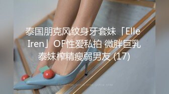 泰国朋克风纹身牙套妹「Elle Iren」OF性爱私拍 微胖巨乳泰妹榨精瘦弱男友 (17)