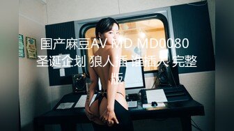 国产麻豆AV MD MD0080 圣诞企划 狼人插 谁插人 完整版