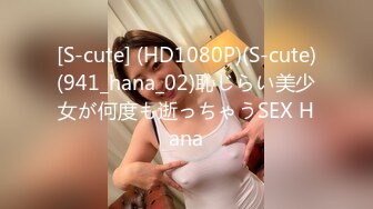 [S-cute] (HD1080P)(S-cute)(941_hana_02)恥じらい美少女が何度も逝っちゃうSEX Hana