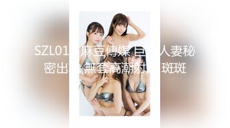 最新2019极品爆乳女神『私人玩物』会员定制版-粉色电动棒淫浪穴 肉丝+脚环+乳夹+娇喘 高清960P原版无水印