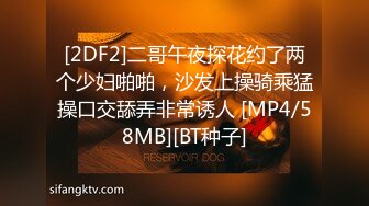 [MP4/ 831M] 反差白富美 约炮大神51jing酒店沙发SM皮鞭调教极品性感空姐，穷人的女神富人的精盆